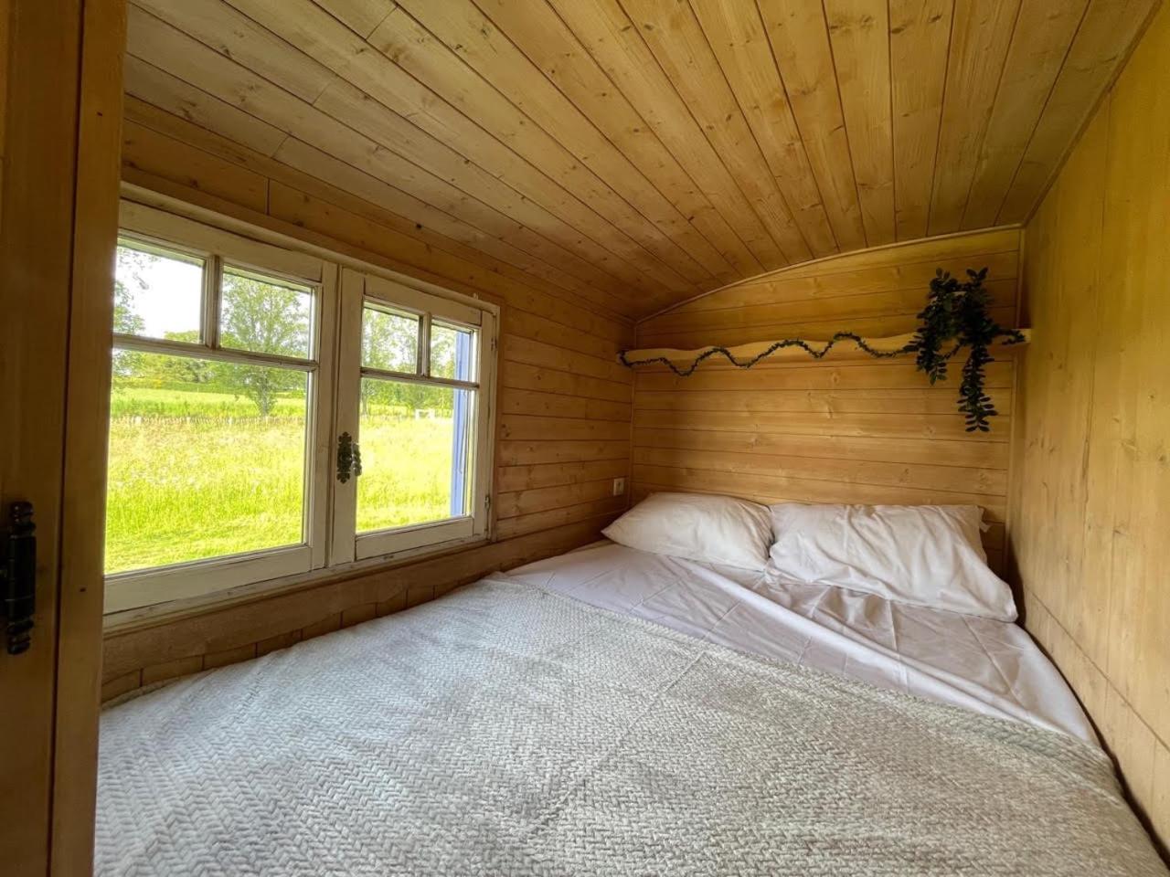 Les Logements Insolites De La Base Nautique Verneuil  Екстер'єр фото